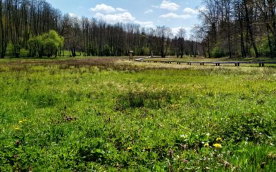 Vándortábor a vadregényes, hagyományőrző Őrségben